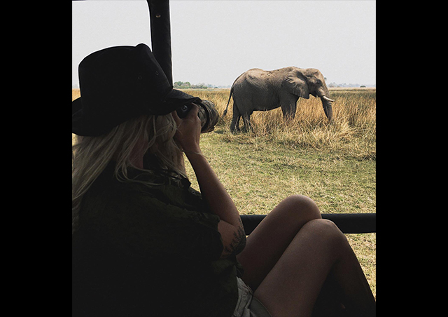 Photographing elephants in Zimbabwe.